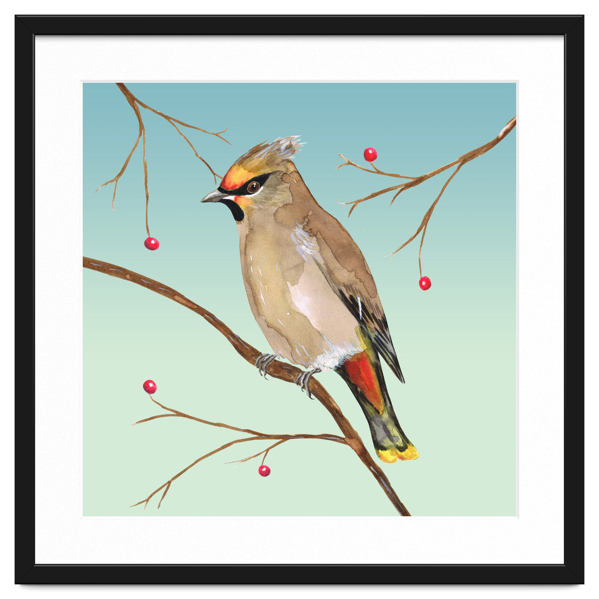 Bohemian waxwing