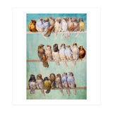 Birds Birds Birds (Print Only) thumbnail