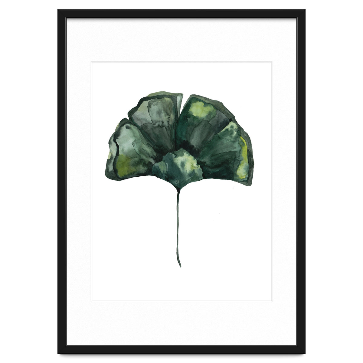 Botanical Illustration Ginko