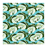 Summer Variegated Monstera | Rainforest Jungle botanical Plants Illustration | Boho Tropical Nature (Print Only) thumbnail