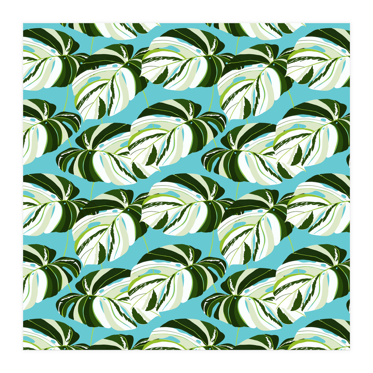 Summer Variegated Monstera | Rainforest Jungle botanical Plants Illustration | Boho Tropical Nature (Print Only)