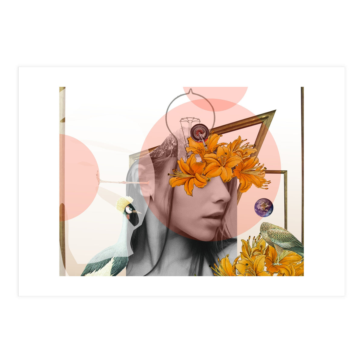 Dreamland Division · D (Print Only)