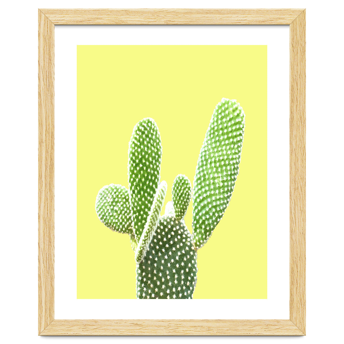 Cactus Yellow Background