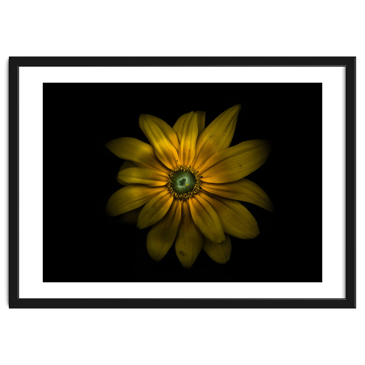 Backyard Flowers No 34 Color Version