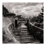 Crossing the Weir (Print Only) thumbnail
