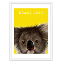 Koala Joey