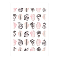 Seashell Pattern (Print Only)