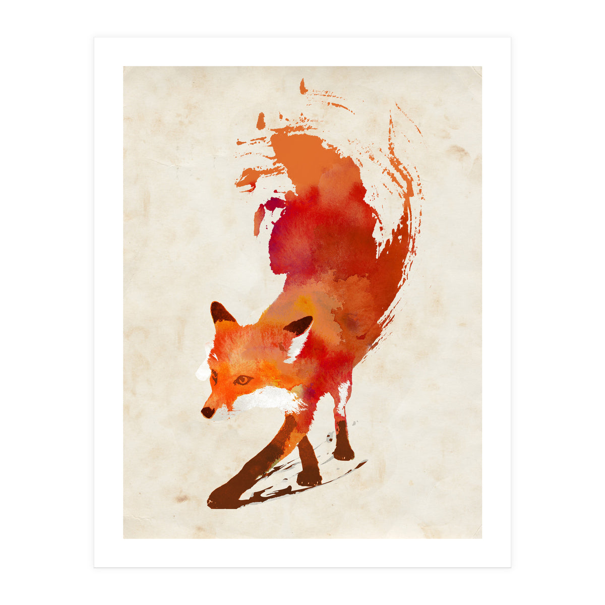 Vulpes Vulpes (Print Only)