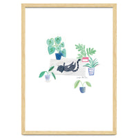Black Cat And House Plants