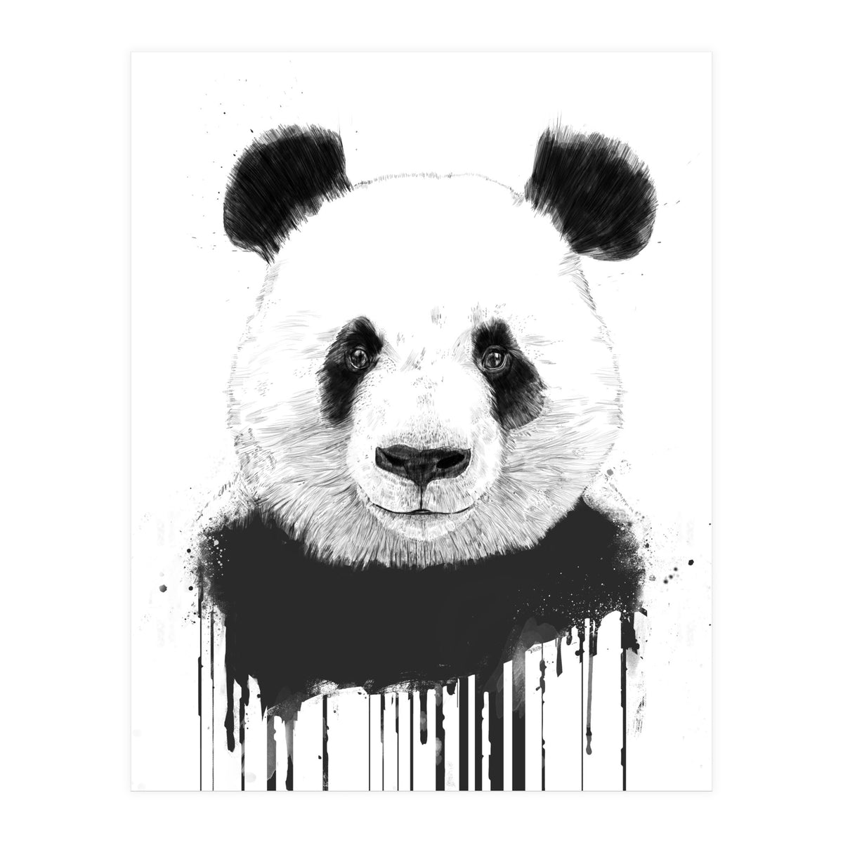 Graffiti Panda (Print Only)