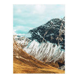Carter (Print Only) thumbnail