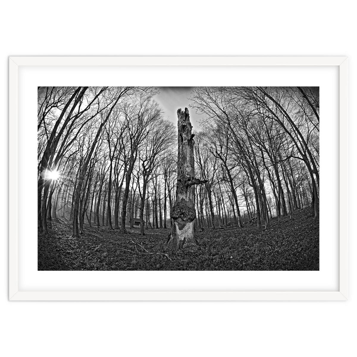 Circle of Growth and decay