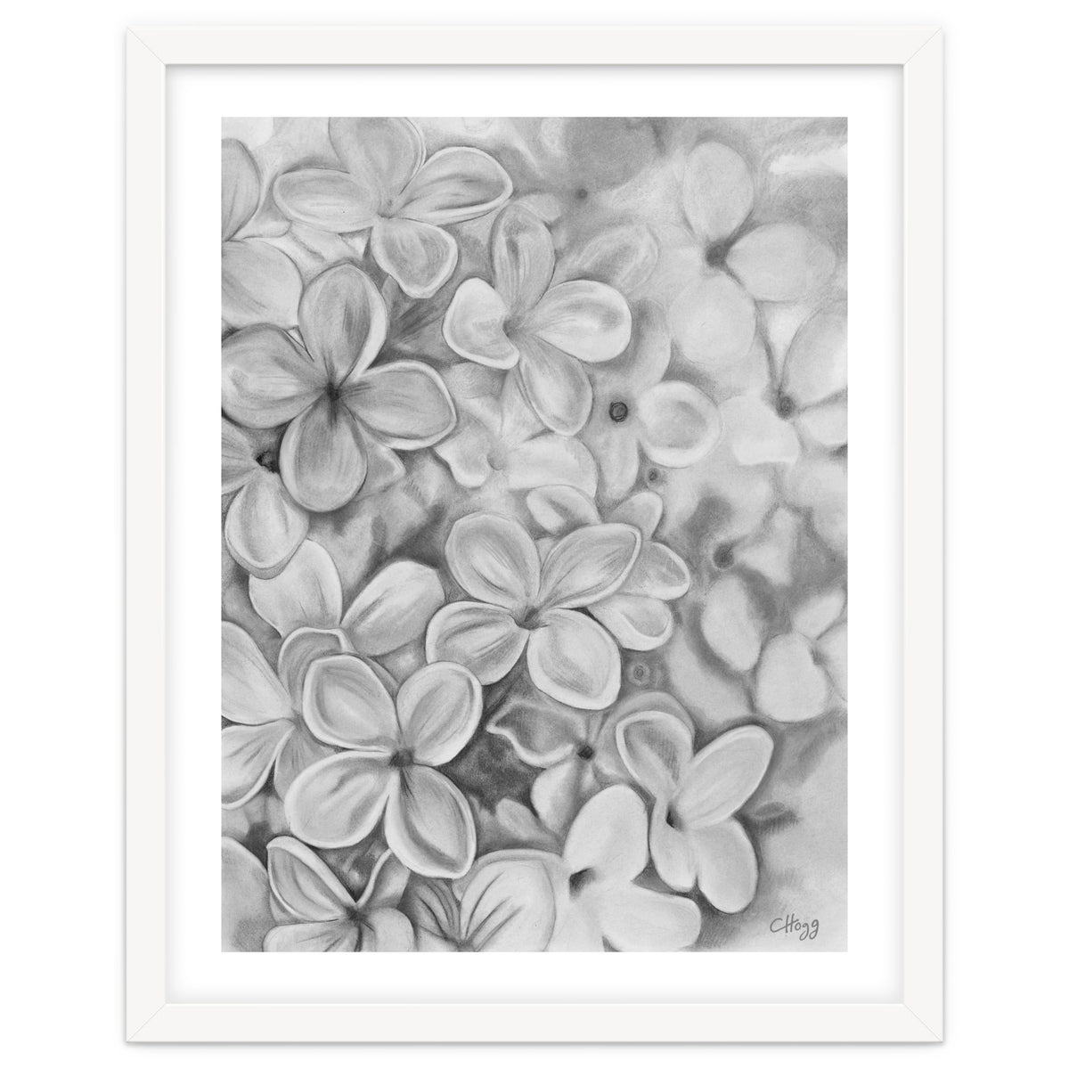 The Essence Of Spring in Monochrome