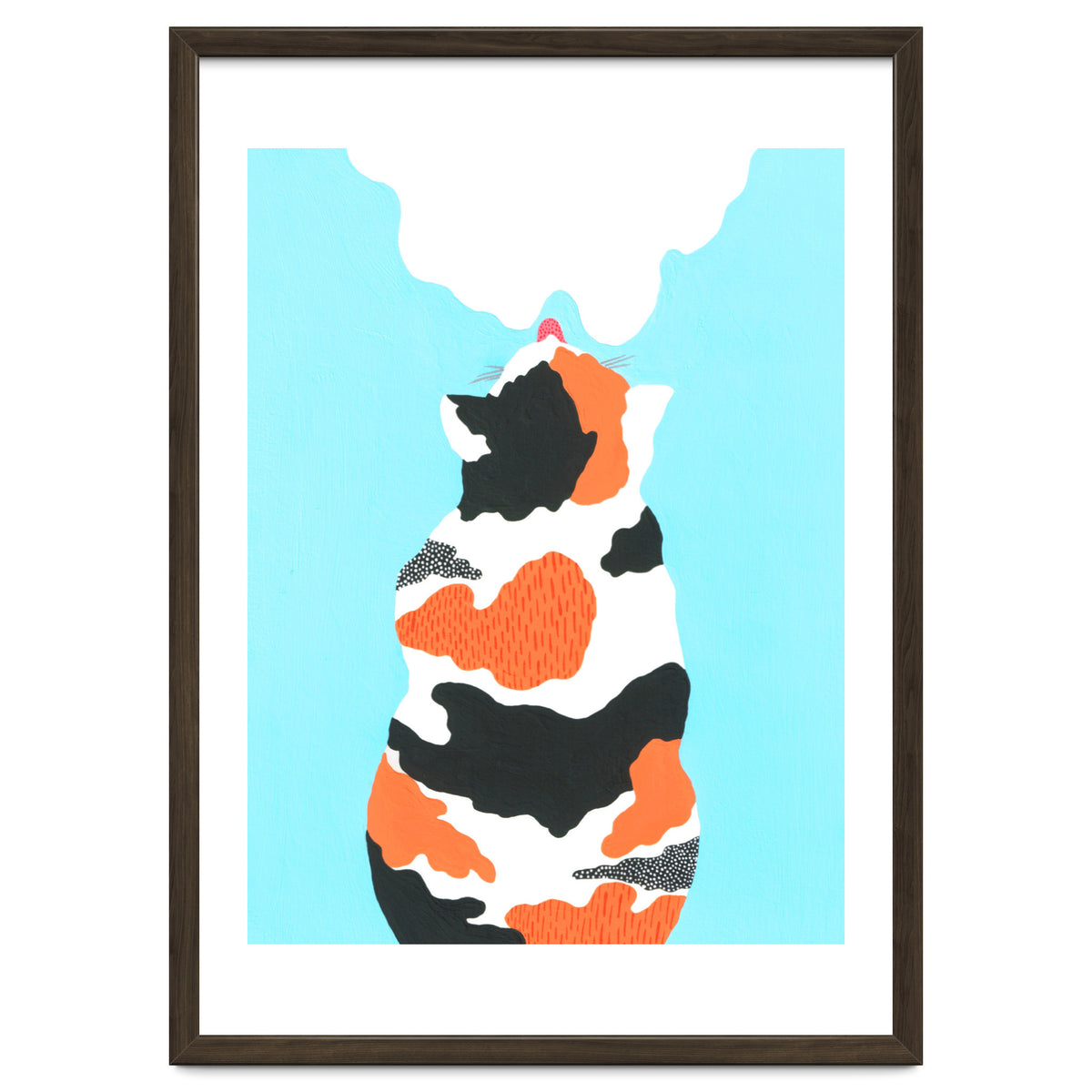 Tri Colored Calico Cat