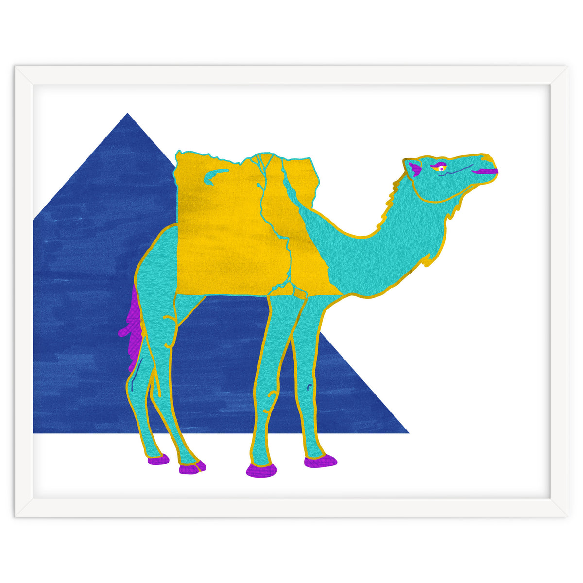 Egyptian Dromedary