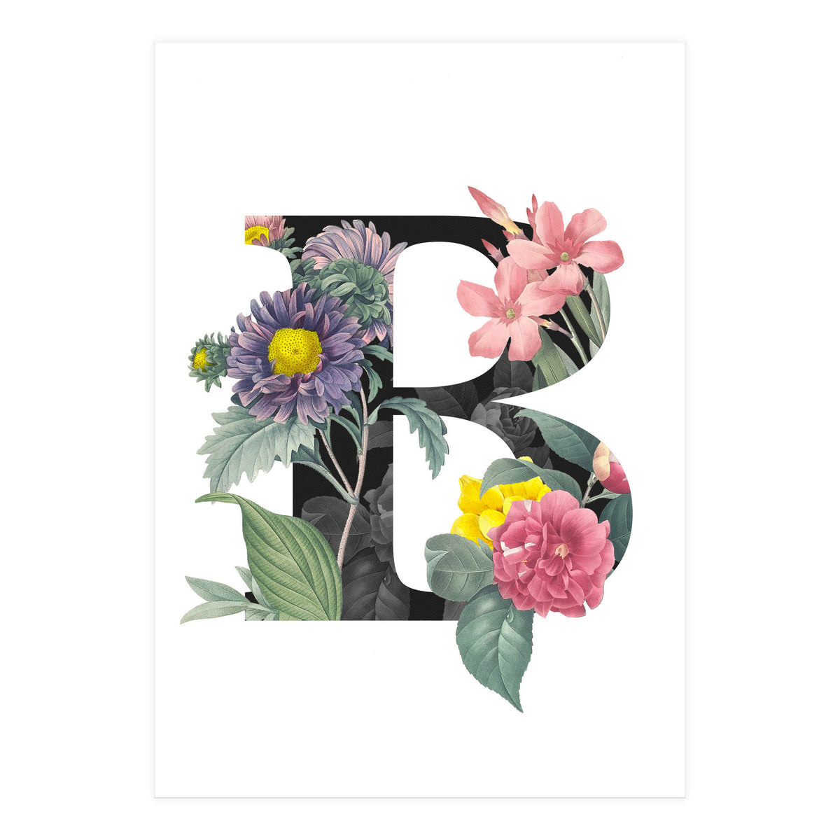 Letter B (Print Only)