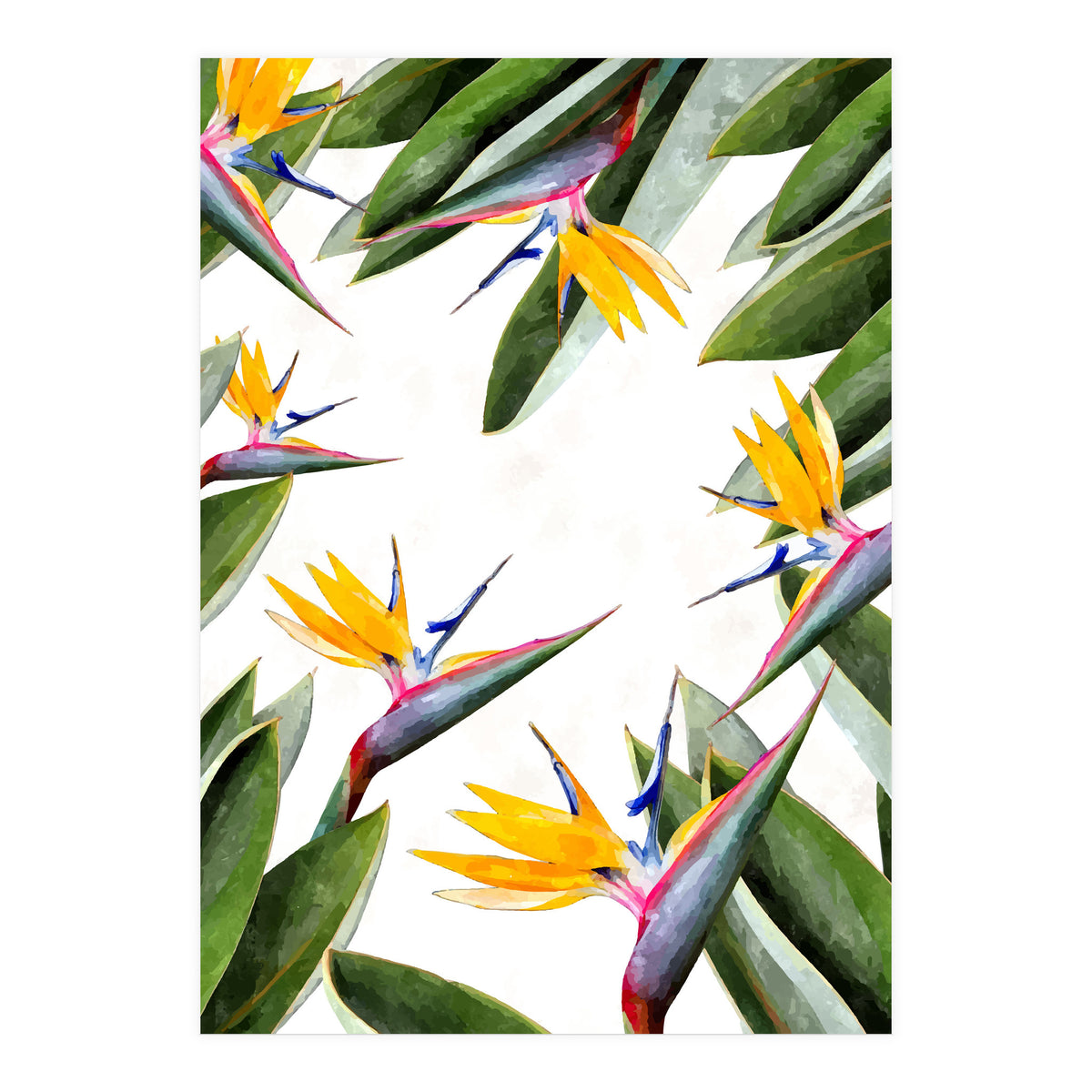 Bird Of Paradise (Print Only)