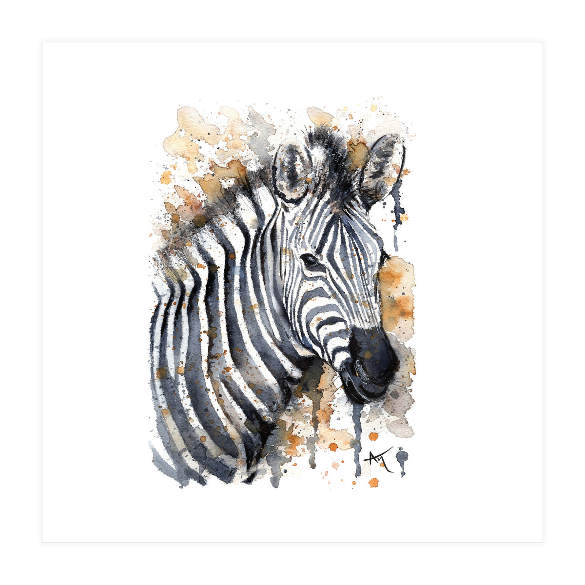 Zebra - Wildlife Collection (Print Only)