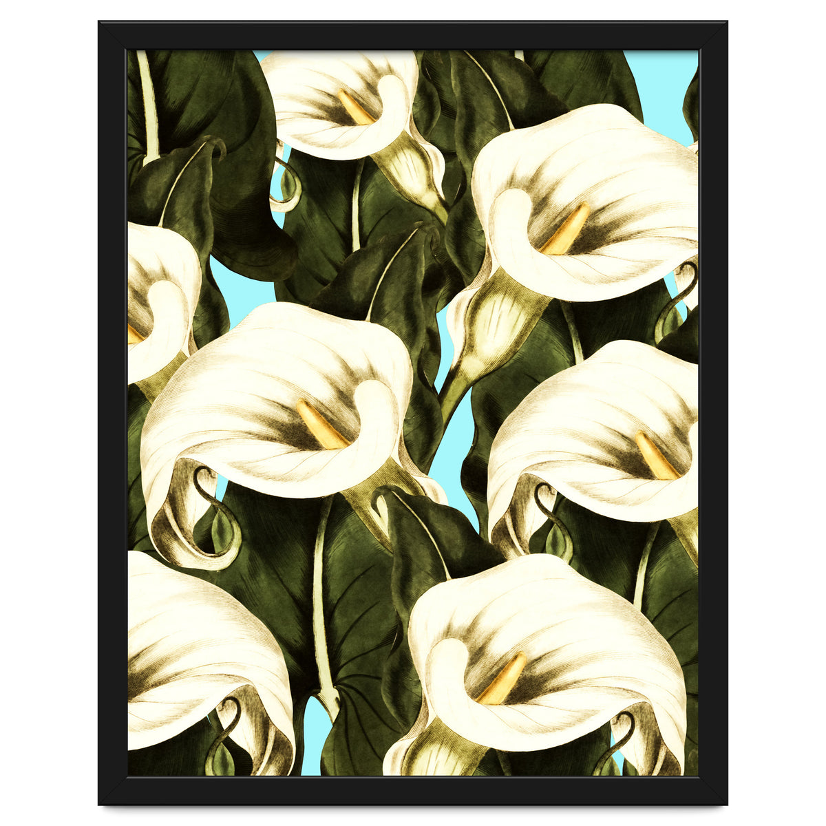 Pattern floral Ethiopian-Calla