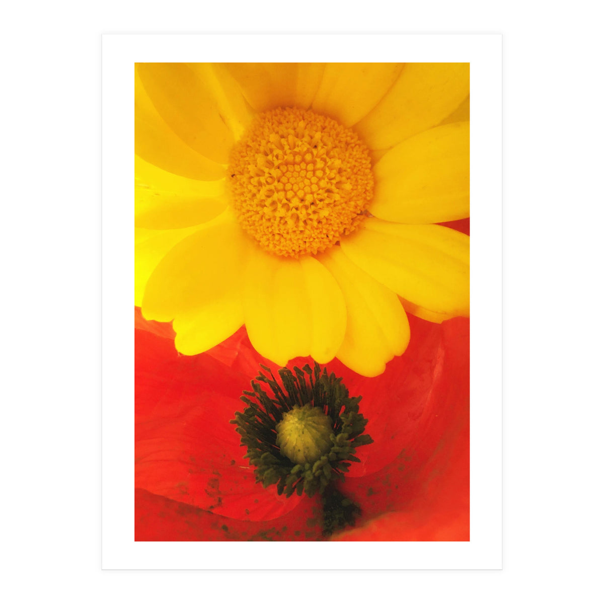 SPRING LOVE (Print Only)