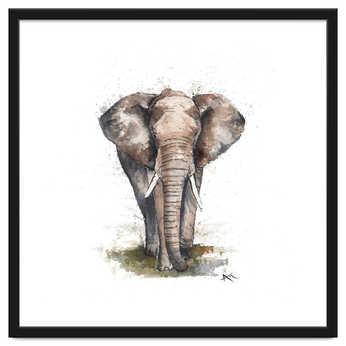 Elephant - Wildlife Collection