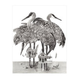 Crane Houses (Print Only) thumbnail