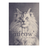 Famous Quote Cat (Print Only) thumbnail