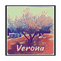 Olive Tree In Verona (Print Only)