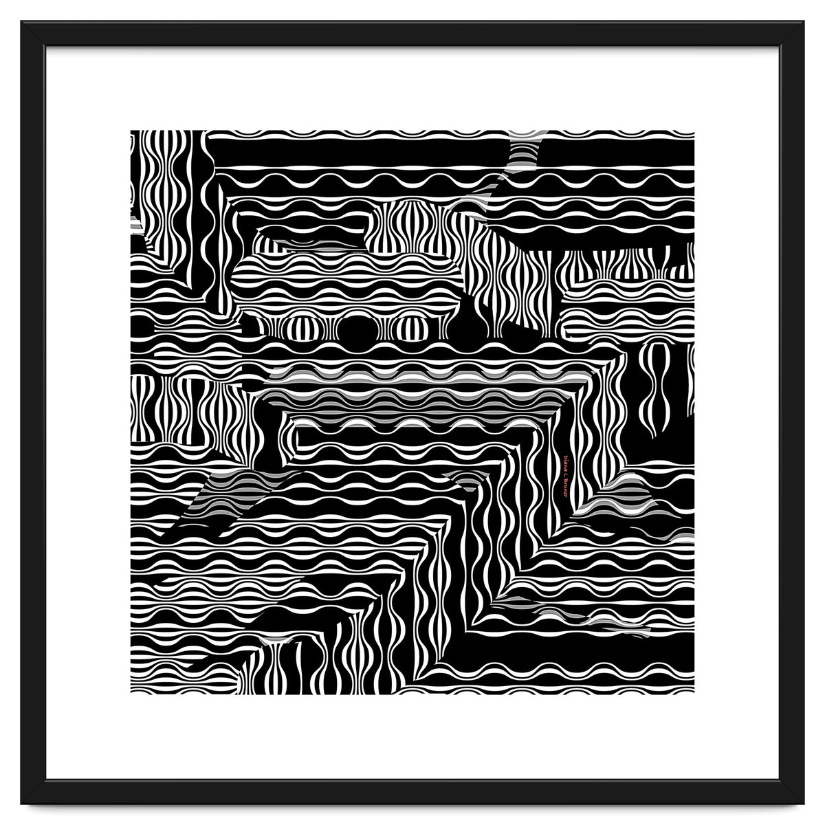 BLACK AND WHITE EXOTIC