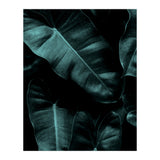 Dark Leafs (Print Only) thumbnail