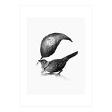 The Messenger (Print Only) thumbnail