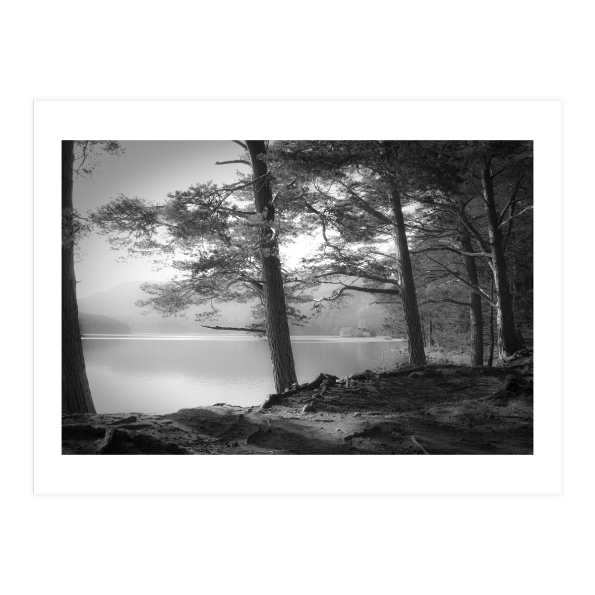 Loch an Eilein (Print Only)