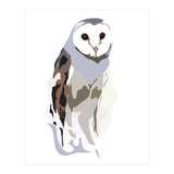 Owl (Print Only) thumbnail