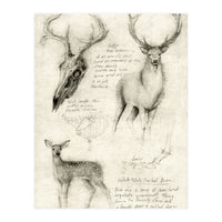 deer (Print Only)