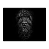 Ziggy Portrait No 2 (Print Only) thumbnail