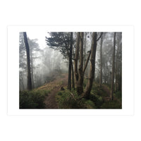 Mt. Davidson II (Print Only)