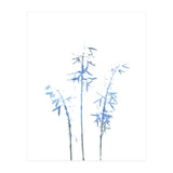 Blue Hosta (Print Only) thumbnail