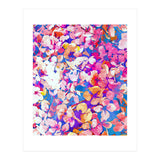 Floral Abundance (Print Only) thumbnail