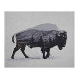 The American Bison (Print Only) thumbnail
