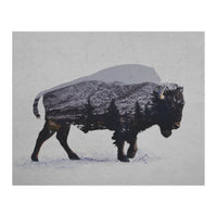 The American Bison (Print Only)