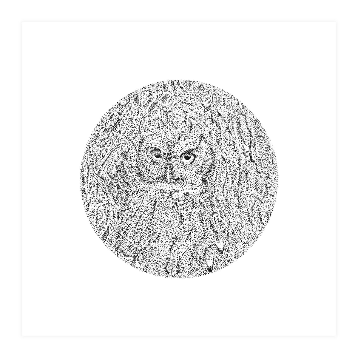 In Plain Sight (Print Only)