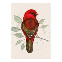 Red avadavat watercolor (Print Only)