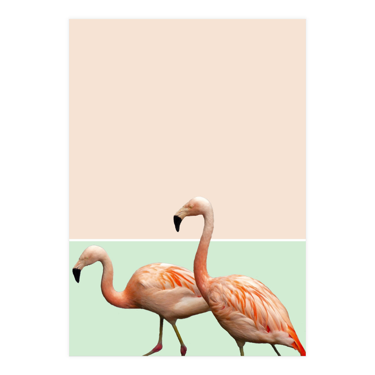 Flamingo Pastel Art (Print Only)
