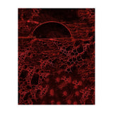 Red bubble (Print Only) thumbnail