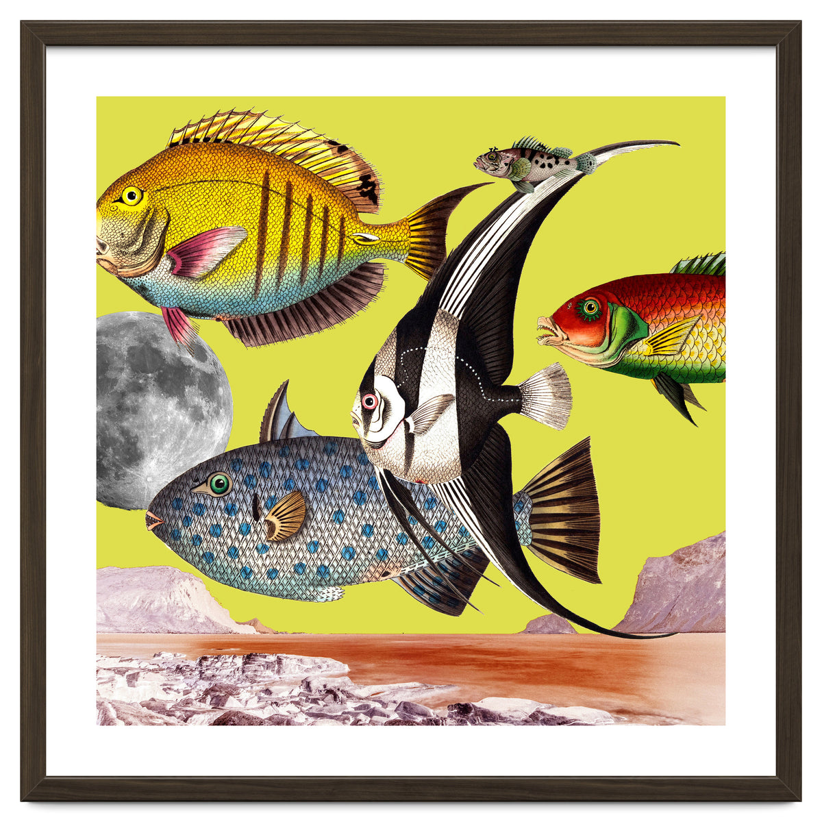 Plenty Of Fish In The Sea Yellow