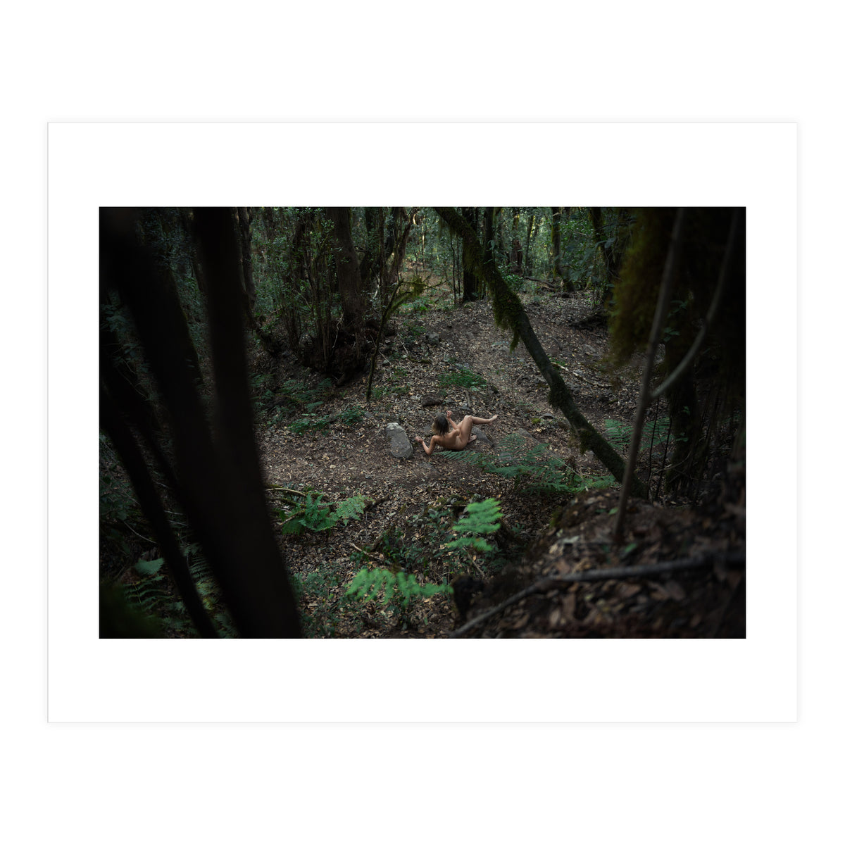 Into the Wild (Print Only)