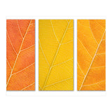 Autumn Leaves (Print Only) thumbnail