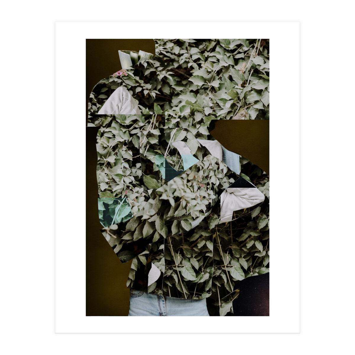 Disappeared Dreams 2 (Print Only)