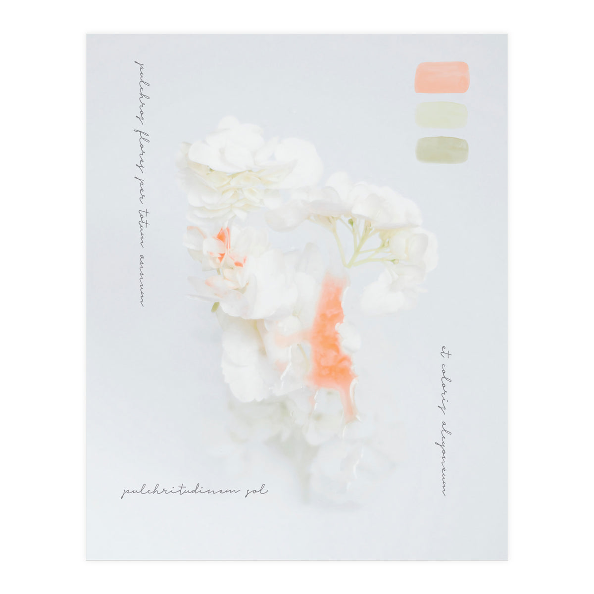 Modern Vintage Botanic (Print Only)