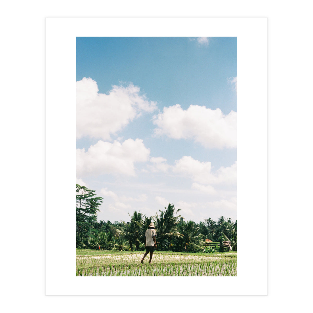 UBUD (Print Only)